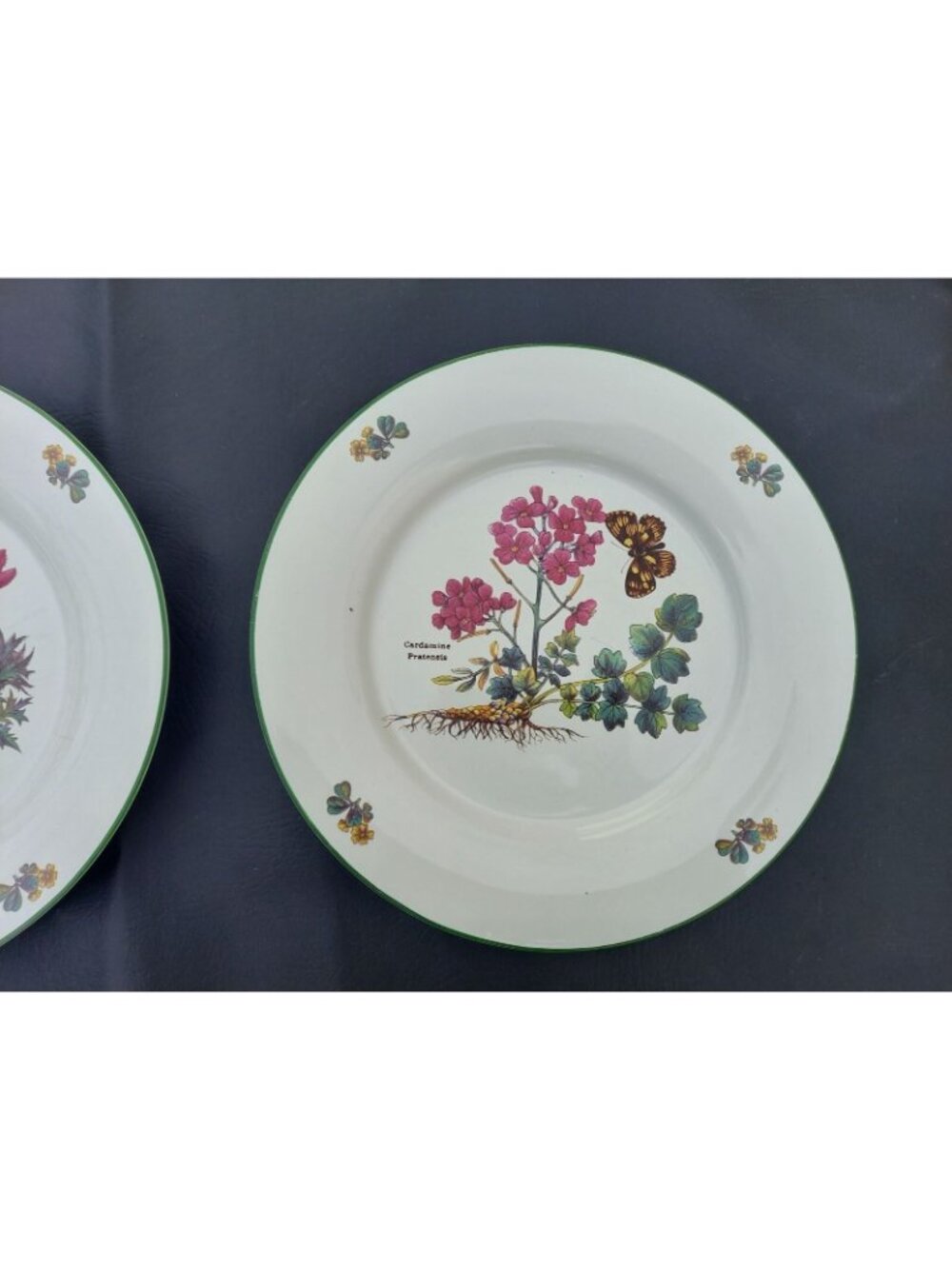 2 Royal Cuthbertson Florabunda 10 1/2" Dinner Plates, Cardamine & Anemone - Picture 3 of 4